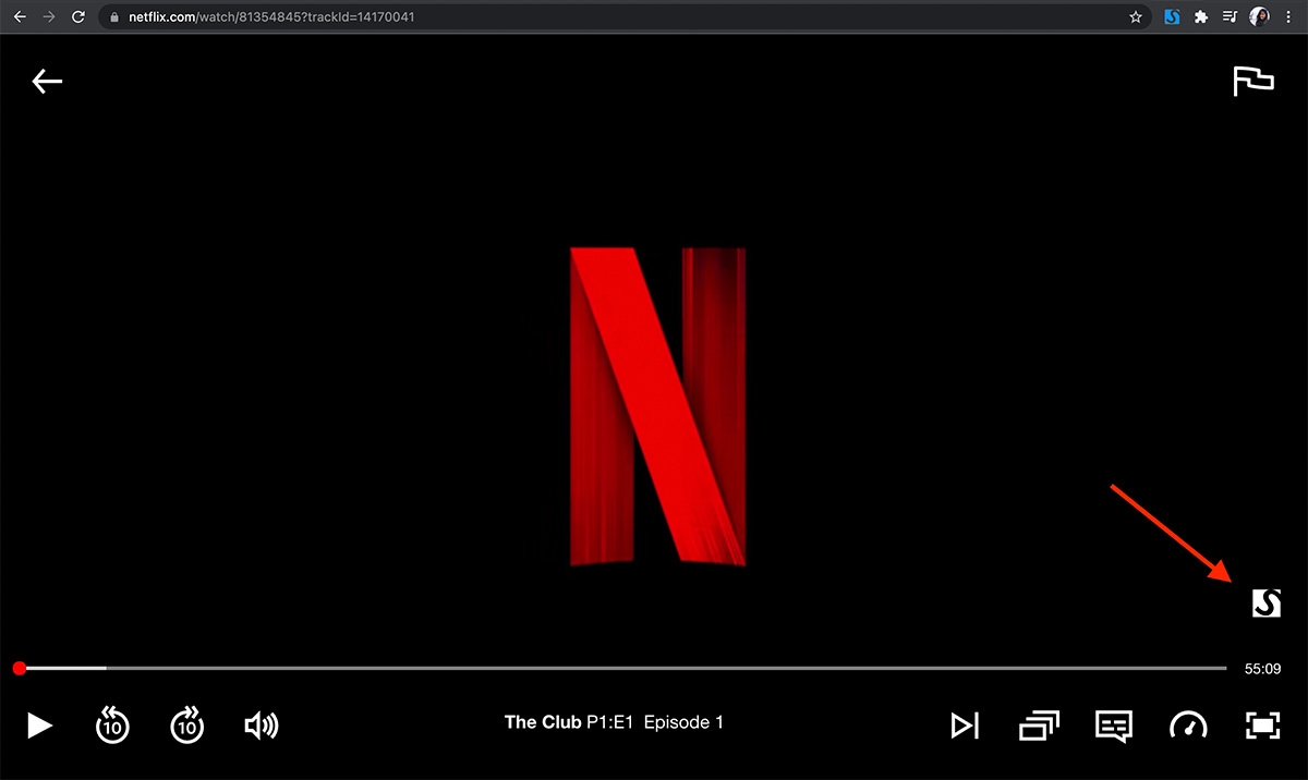 Substital setting icon on Netflix